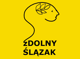 szkoła podstawowa nr 10 wrocław - Znamy wyniki konkursów zDolny Ślązaczek i zDolny  Ślązak - matematyczny.